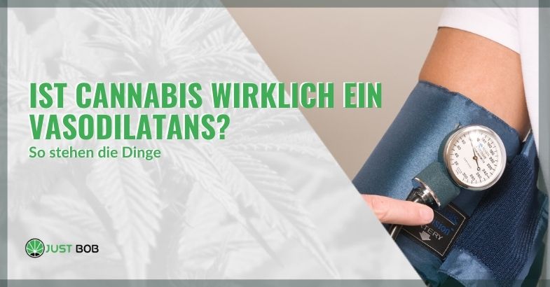 Hat Cannabis wirklich eine gefäßerweiternde Wirkung? Und wie funktioniert es?