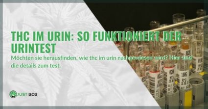 Wie funktioniert der THC-Urintest?