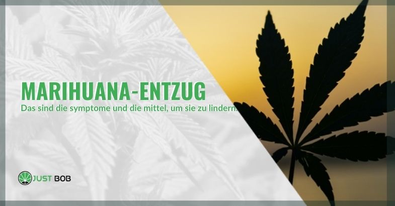 Natürliche Heilmittel und Symptome des Marihuana-Entzugs