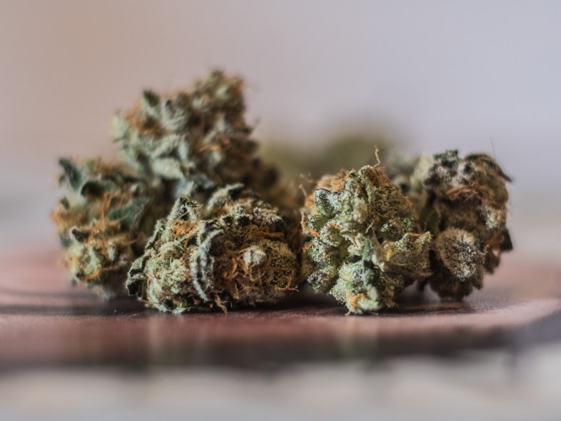 Entdeckungen und Kuriositäten über Terpene