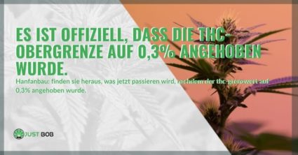 Es wurde offiziell bekannt gegeben, dass THC auf 0,3% erhöht wurde