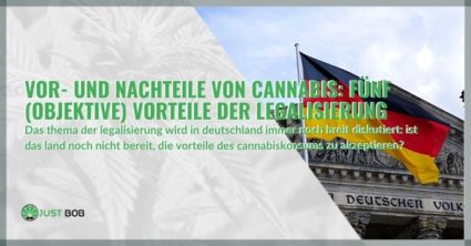 Vor- und Nachteile von Cannabis: Fünf (objektive) Vorteile der Legalisierung