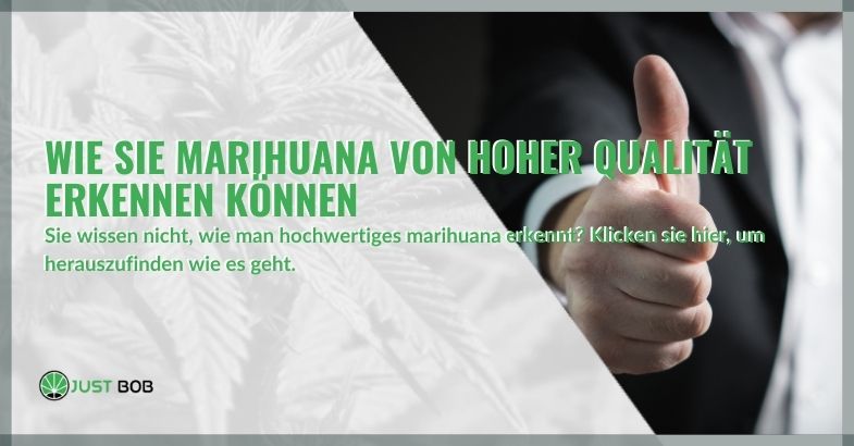 Wie Sie Marihuana von hoher Qualität erkennen können