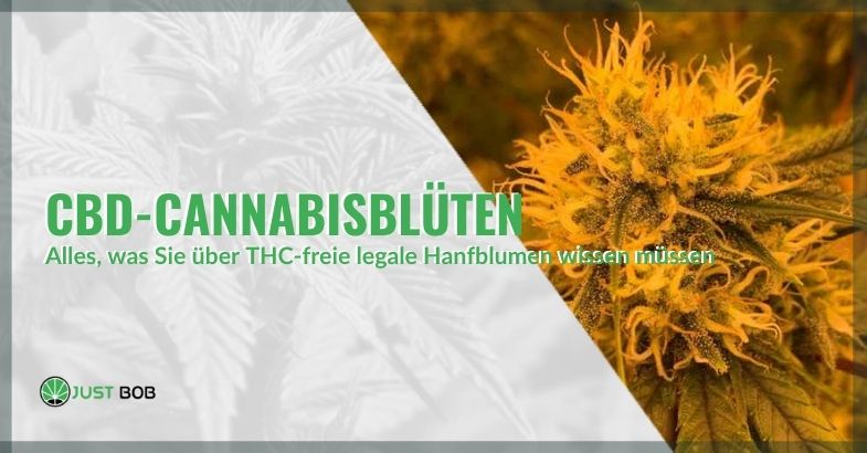 Alles, was Sie über CBD-legale Cannabisblumen ohne THC wissen müssen