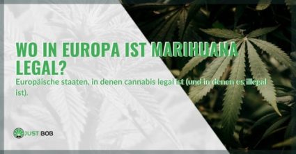Wo ist legales Marihuana in Europa zu finden?