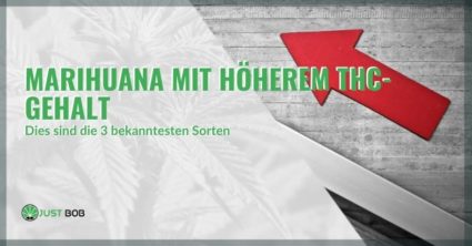 Die drei beliebtesten Marihuana-Sorten mit hohem THC