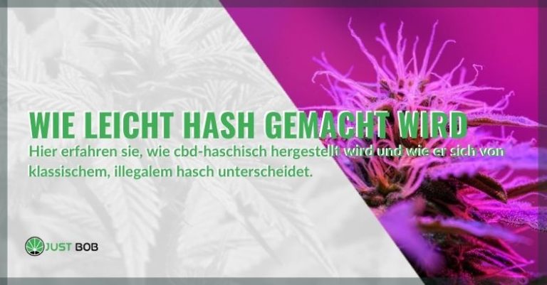 Wie sieht CBD-Hash aus: und seine Auswirkungen?