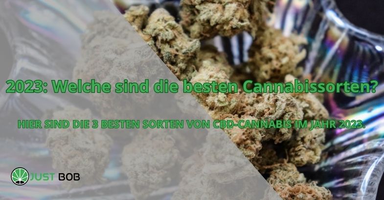 2023: Welche sind die besten Cannabissorten?