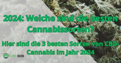 2024: Welche sind die besten Cannabissorten?