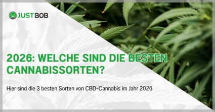 2026: Welche sind die besten Cannabissorten?