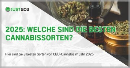2025: Welche sind die besten Cannabissorten?