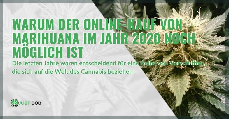 Warum kann man im Jahr 2020 immer noch Marihuana online kaufen?