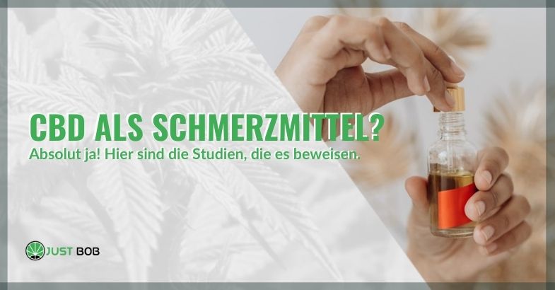 Hier sind die Studien zu CBD als Schmerzmittel