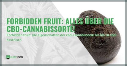 Forbidden Fruit legale Cannabis-Sorte