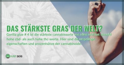 Gorilla Glue # 4 ist das stärkste Kraut der Welt