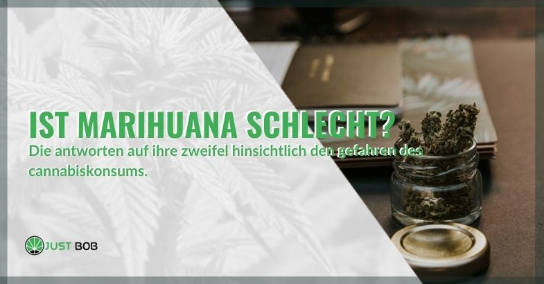 Ist Marihuana schlecht? Die Informationen, Wirkungen und Unterschiede zwischen THC und CBD.