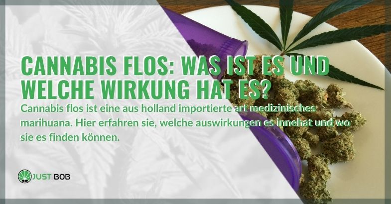 Alles, was Sie über Flos Cannabis wissen müssen