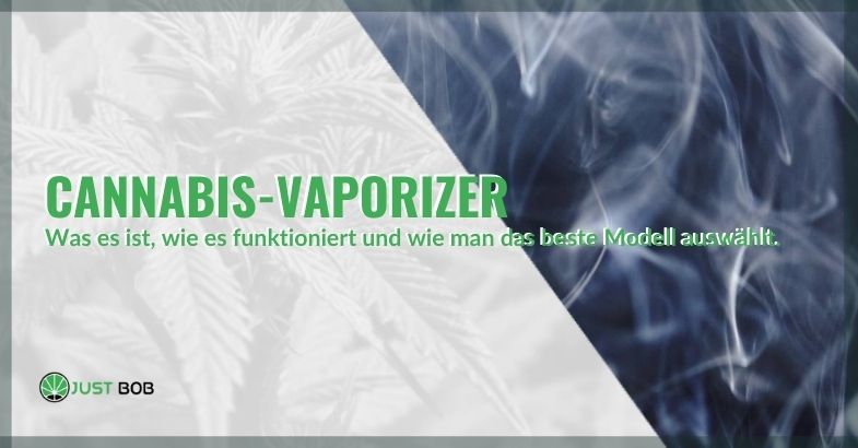 Was ist der Cannabis-Vaporizer und wie wählt man ihn aus?