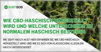 Wie CBD-Haschisch hergestellt wird
