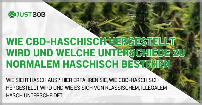 Wie CBD-Haschisch hergestellt wird