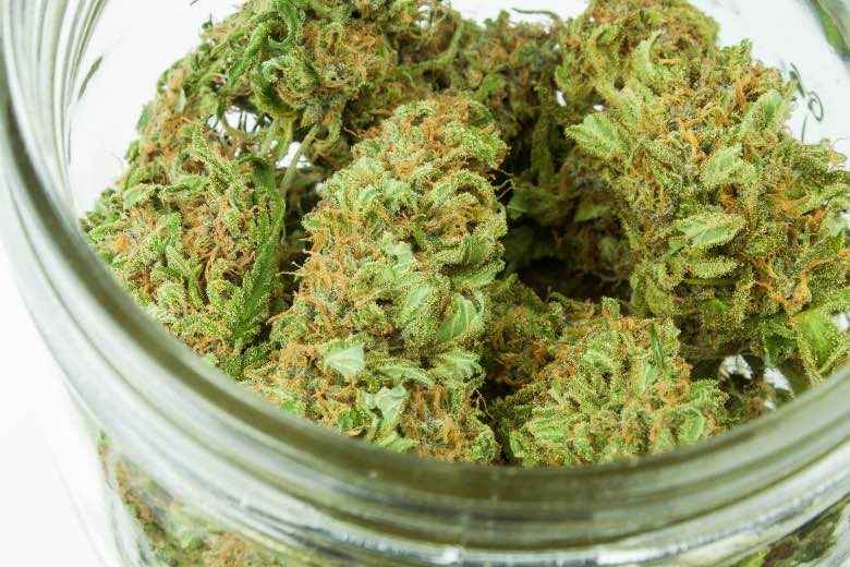 Trockenblumen von medizinischem Marihuana