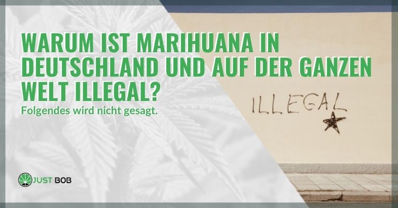 Deshalb ist Marihuana in Deutschland und auf der ganzen Welt illegal