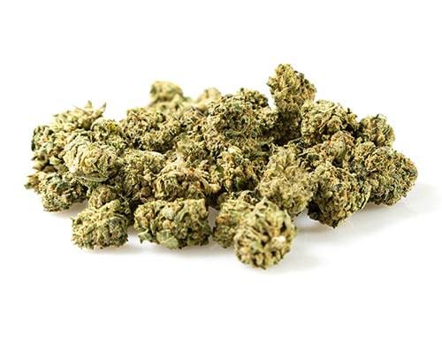 CBD Blüten der Sorte Bubblegum