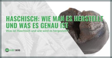 Wie Hasch gemacht wird und welche Unterschiede zu Cannabis bestehen