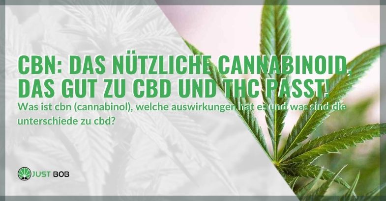 Was ist CBN und was sind die Auswirkungen und Unterschiede zu CBD?