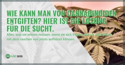 Hier ist die Lösung zur Entgiftung von Cannabinoiden!