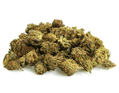 GG4 cbd boost cannabis cbd klein