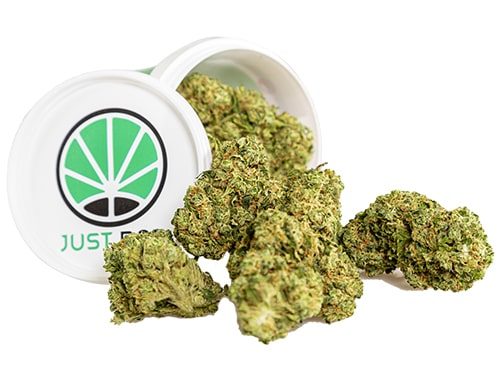 Krug von CBD Cannabis der Sorte Royal GG#4 CBD Cannabis