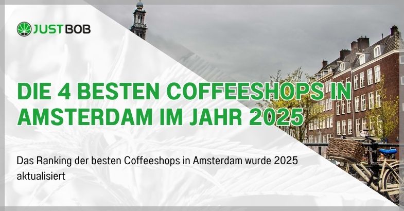 Die 4 besten Coffeeshops in Amsterdam im Jahr 2025