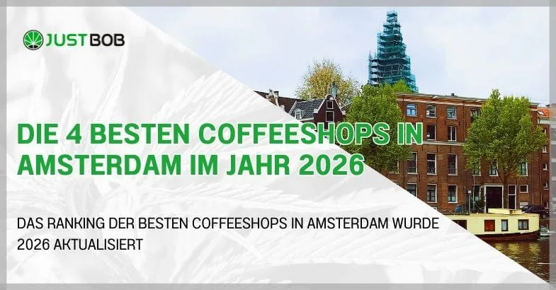 Die 4 besten Coffeeshops in Amsterdam im Jahr 2026