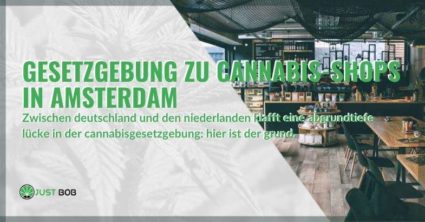 Die Kluft in der Cannabisgesetzgebung zwischen Deutschland und den Niederlanden