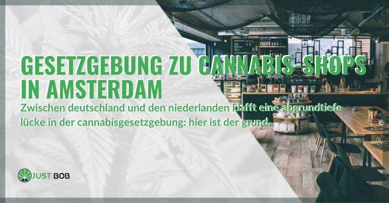 Die Kluft in der Cannabisgesetzgebung zwischen Deutschland und den Niederlanden