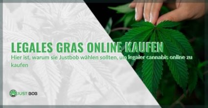 Kaufen Sie leichtes Marihuana im Internet