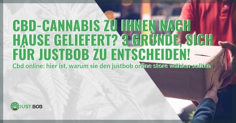 3 Gründe, Justbob zu wählen, um leichtes Marihuana direkt zu Hause zu erhalten