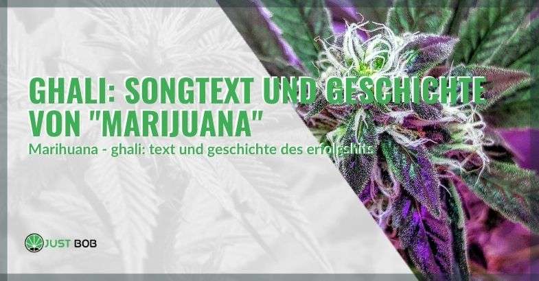 Der Text und die Geschichte von Ghalis Lied "Marihuana"