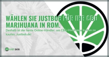 Deshalb kaufen Sie CBD-Marihuana bei Justbob, wenn Sie in Rom sind