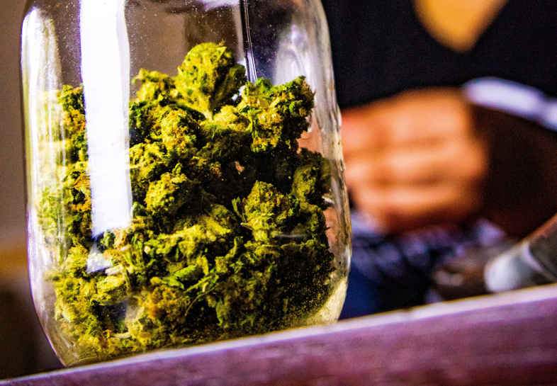 Cannabis mit THC zu therapeutischen Zwecken