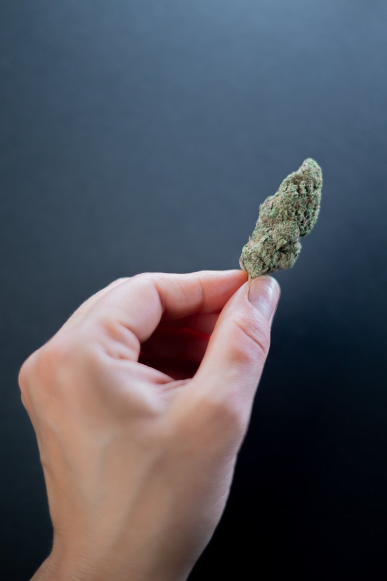 Das Marihuana, das Sie online finden, ist von hoher Qualität.