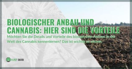 Vorteile-Bio-Anbau Die Vorteile des ökologischen Landbaus gegenüber dem nicht biologischen Landbau