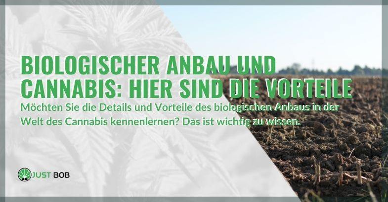Die Vorteile des ökologischen Landbaus gegenüber dem nicht biologischen Landbau