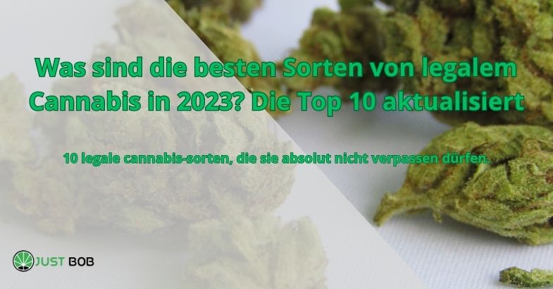 Was sind die besten Sorten von legalem Cannabis in 2023? Die Top 10 aktualisiert