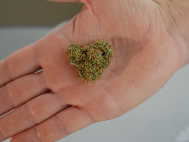 CBD-Marihuana von höchster Qualität mit Zertifizierungen auf Justbob