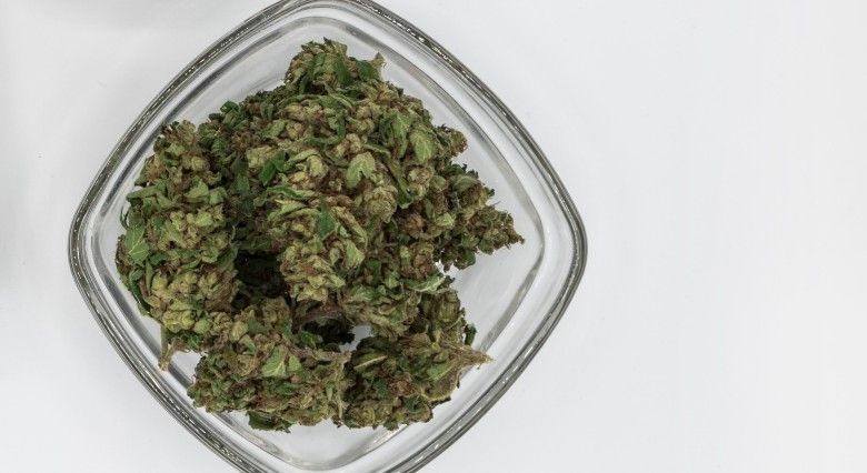 Preise und Qualität von legalem Marihuana auf Justbob