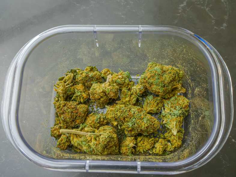 Wo kann man CBD-Cannabis kaufen?