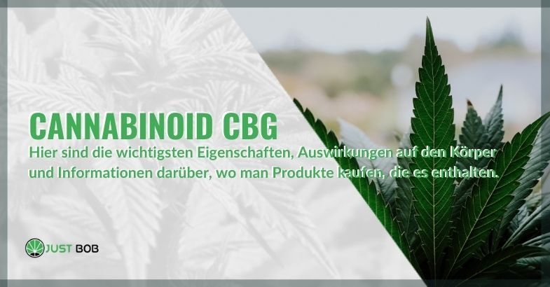 CBG: Wo kommt es vor, welche Wirkungen und Eigenschaften hat es?