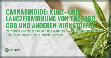 Die unmittelbaren und nicht unmittelbaren Wirkungen von Cannabinoiden